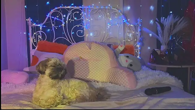 Funny Bunny online show from 1, 3, 2025