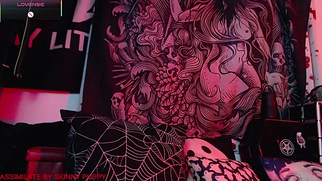 Silentmary online show from 17, 1, 2026