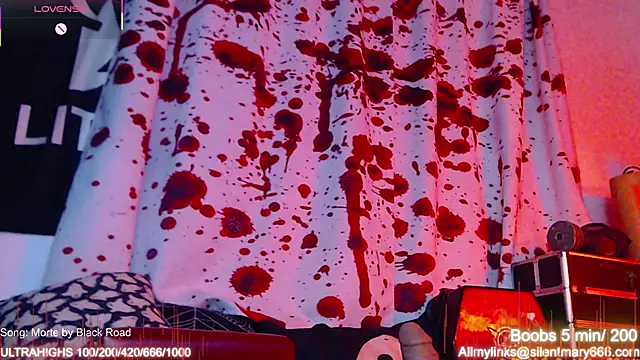 Silentmary online show from 15, 11, 2025