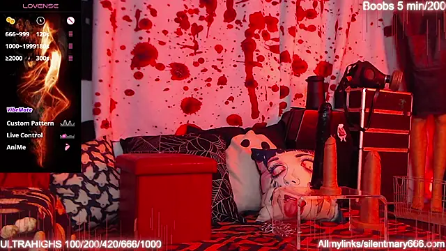Silentmary online show from 4, 10, 2025