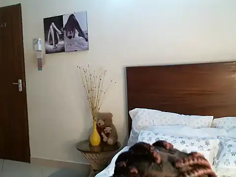 pay tience online show from 14, 11, 2025