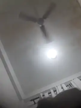 chubby wife online show from 22, 4, 2026