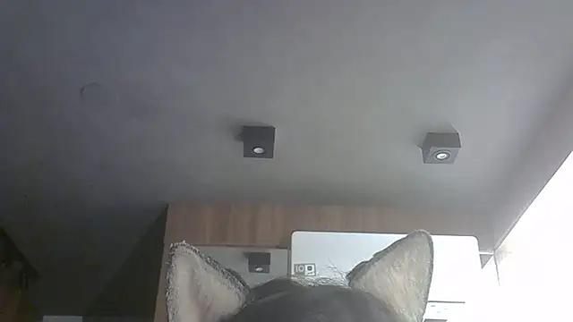 Snapshot of Skinny-Kitten chatting on 27, 10, 2025 Skinny-Kitten online show from 27, 10, 2025