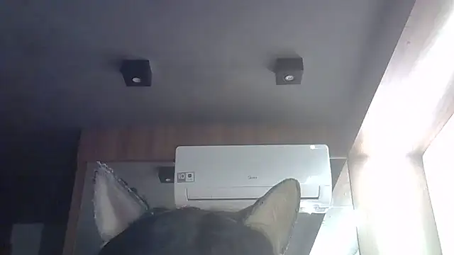 Skinny-Kitten online show from 28, 5, 2026