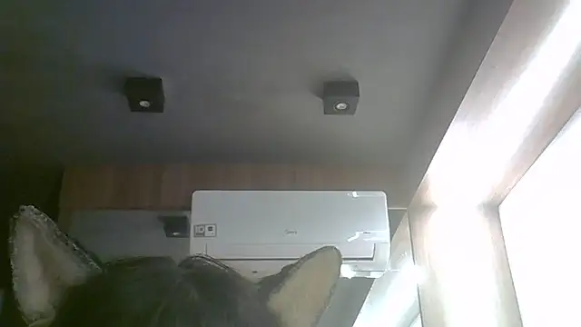 Skinny-Kitten online show from 17, 6, 2026
