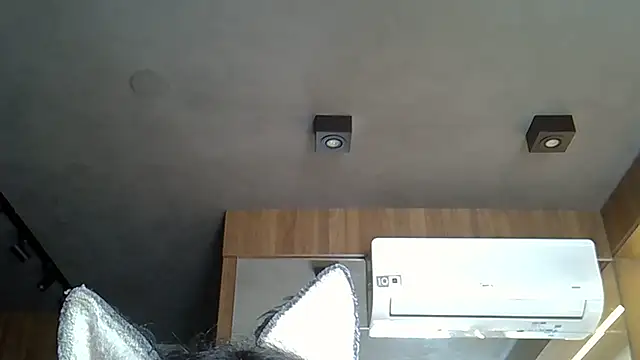 Snapshot of Skinny-Kitten chatting on 14, 11, 2025 Skinny-Kitten online show from 14, 11, 2025