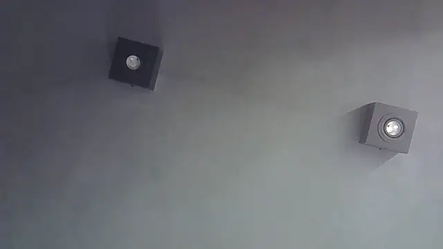 Skinny-Kitten online show from 6, 1, 2026