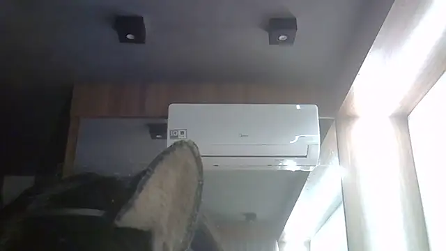 Skinny-Kitten online show from 27, 6, 2026
