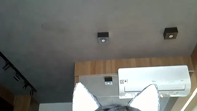 Snapshot of Skinny-Kitten chatting on 9, 11, 2025 Skinny-Kitten online show from 9, 11, 2025