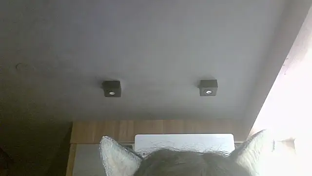 Skinny-Kitten online show from 14, 5, 2026