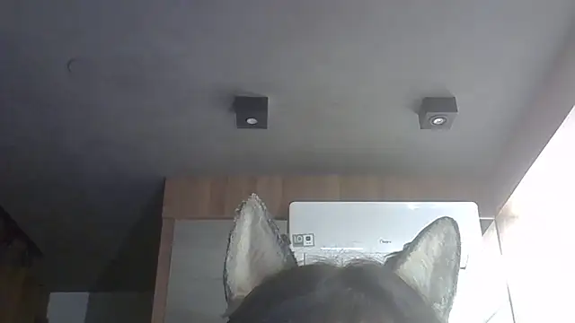 Skinny-Kitten online show from 14, 2, 2026