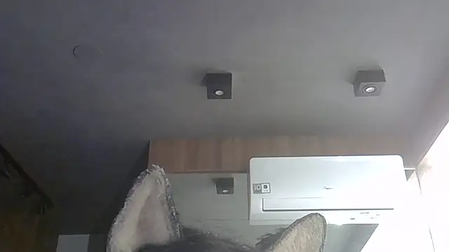 Skinny-Kitten online show from 7, 2, 2026