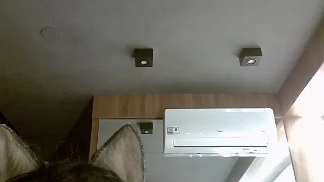 Snapshot of Skinny-Kitten chatting on 5, 11, 2025 Skinny-Kitten online show from 5, 11, 2025