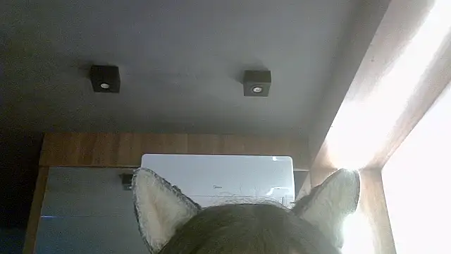 Skinny-Kitten online show from 16, 7, 2026