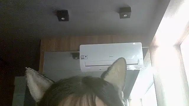 Skinny-Kitten online show from 2, 6, 2026