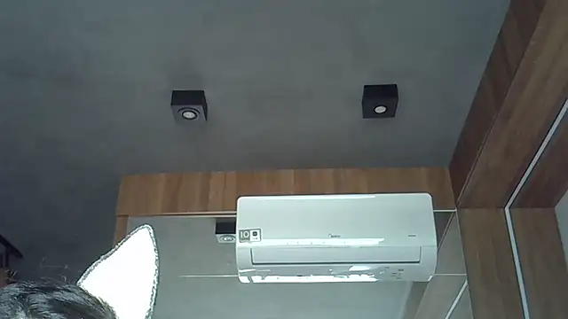 Snapshot of Skinny-Kitten chatting on 9, 10, 2025 Skinny-Kitten online show from 9, 10, 2025