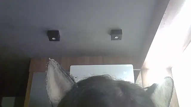 Skinny-Kitten online show from 9, 4, 2026