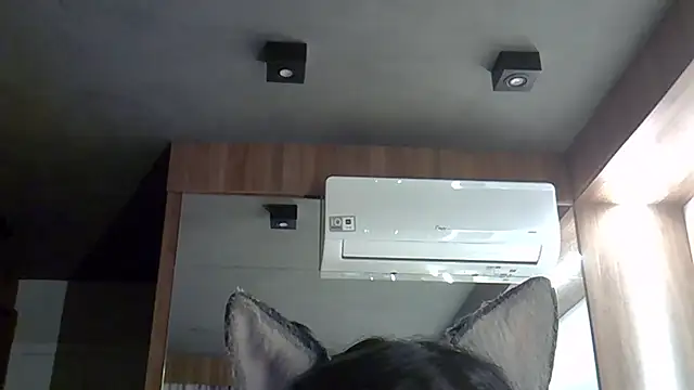 Skinny-Kitten online show from 30, 9, 2025