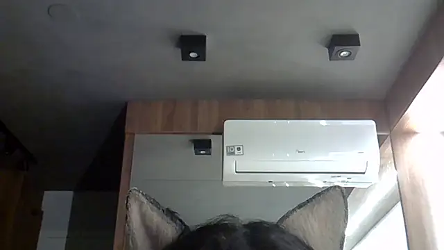 Snapshot of Skinny-Kitten chatting on 20, 10, 2025 Skinny-Kitten online show from 20, 10, 2025