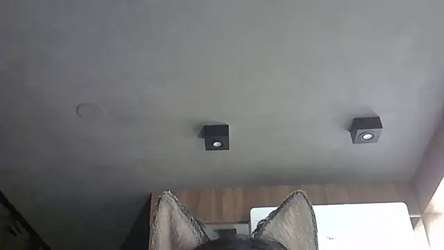 Snapshot of Skinny-Kitten chatting on 31, 10, 2025 Skinny-Kitten online show from 31, 10, 2025