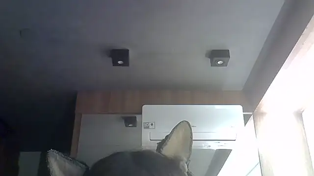 Skinny-Kitten online show from 30, 6, 2026