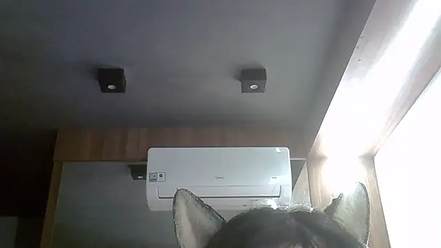 Skinny-Kitten online show from 3, 4, 2026