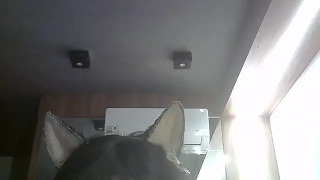 Skinny-Kitten online show from 22, 5, 2026