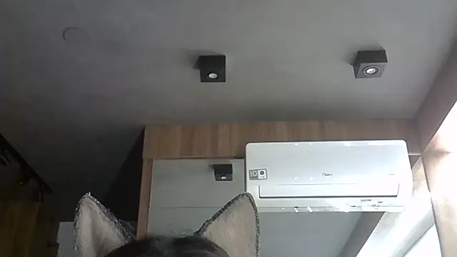 Snapshot of Skinny-Kitten chatting on 13, 11, 2025 Skinny-Kitten online show from 13, 11, 2025