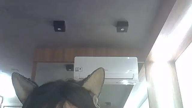 Skinny-Kitten online show from 7, 6, 2026