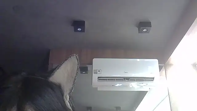 Skinny-Kitten online show from 3, 2, 2026