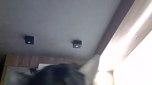 Skinny-Kitten online show from 30, 3, 2026