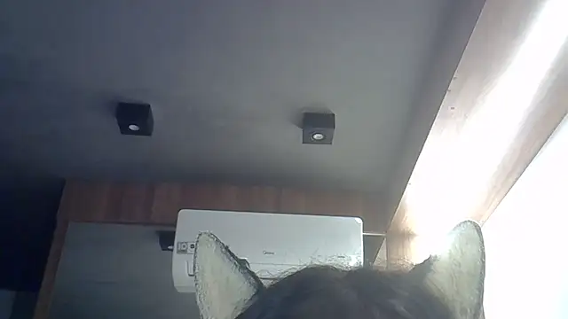 Skinny-Kitten online show from 8, 4, 2026