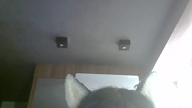 Skinny-Kitten online show from 16, 4, 2026