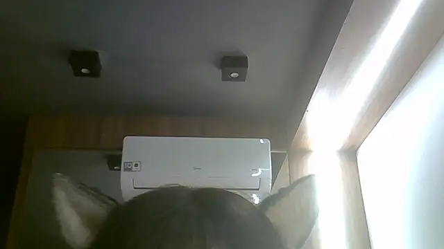 Skinny-Kitten online show from 16, 6, 2026