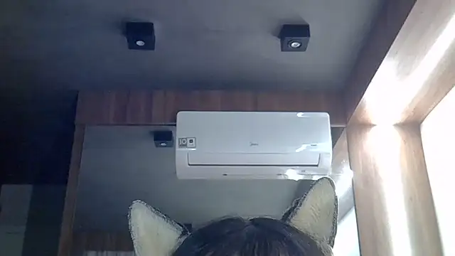 Skinny-Kitten online show from 26, 6, 2026