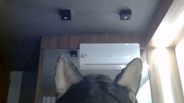 Skinny-Kitten online show from 30, 6, 2026