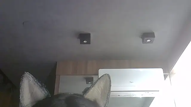 Skinny-Kitten online show from 2, 2, 2026