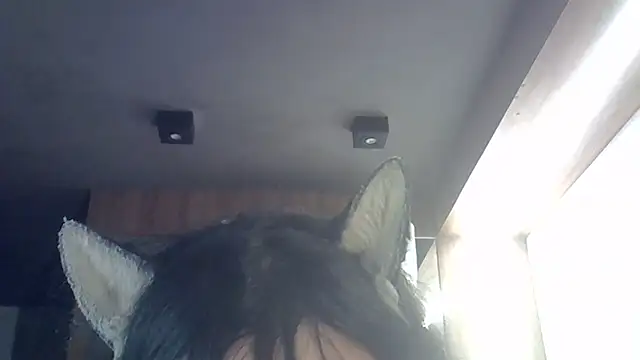 Skinny-Kitten online show from 12, 3, 2026