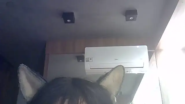 Skinny-Kitten online show from 1, 7, 2026