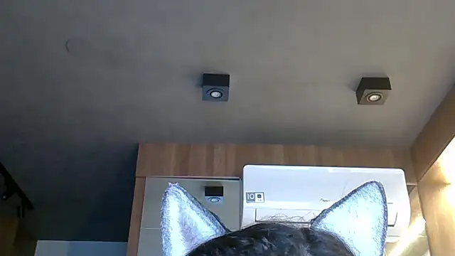 Snapshot of Skinny-Kitten chatting on 28, 10, 2025 Skinny-Kitten online show from 28, 10, 2025