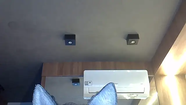 Snapshot of Skinny-Kitten chatting on 10, 11, 2025 Skinny-Kitten online show from 10, 11, 2025