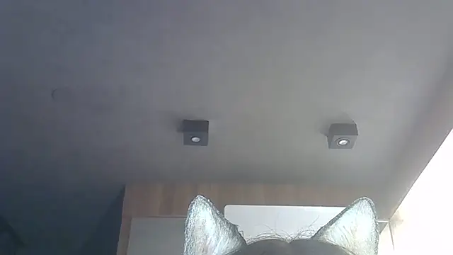 Skinny-Kitten online show from 15, 12, 2025