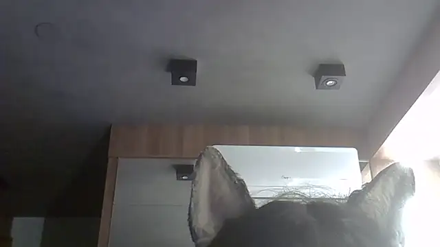 Skinny-Kitten online show from 9, 2, 2026