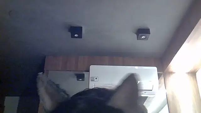 Skinny-Kitten online show from 12, 7, 2026