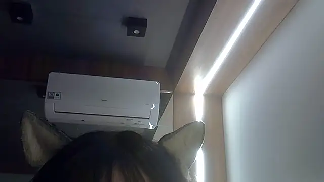 Skinny-Kitten online show from 20, 7, 2026