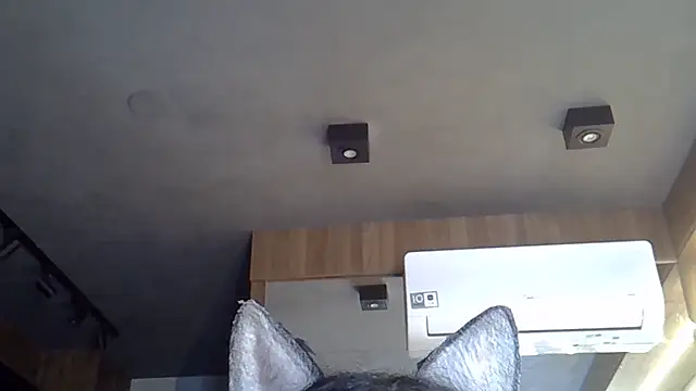 Snapshot of Skinny-Kitten chatting on 6, 11, 2025 Skinny-Kitten online show from 6, 11, 2025