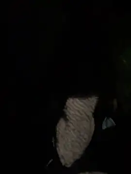 prekumstud online show from 23, 4, 2026