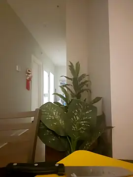 lofibunni online show from 18, 3, 2026