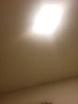 lofibunni online show from 15, 2, 2026