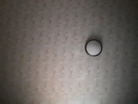 Snapshot of Stormward chatting on 30, 11, 2025 Stormward online show from 30, 11, 2025